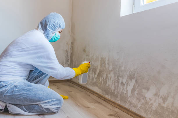 Licensed Mold Inspection And Testing service in Coats, NC - 24 Hour Mold Removal
