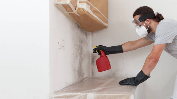 Professional Mold Inspection And Testing technician working in Coats, NC