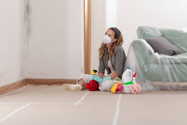Reliable Mold Inspection And Testing contractor in Coats, NC by 24 Hour Mold Removal